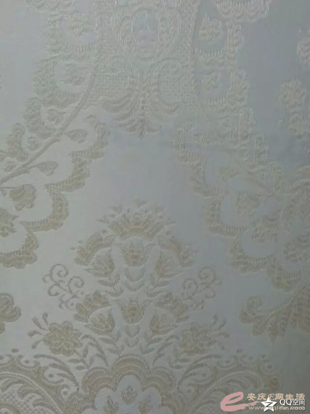 ǽ2.jpg