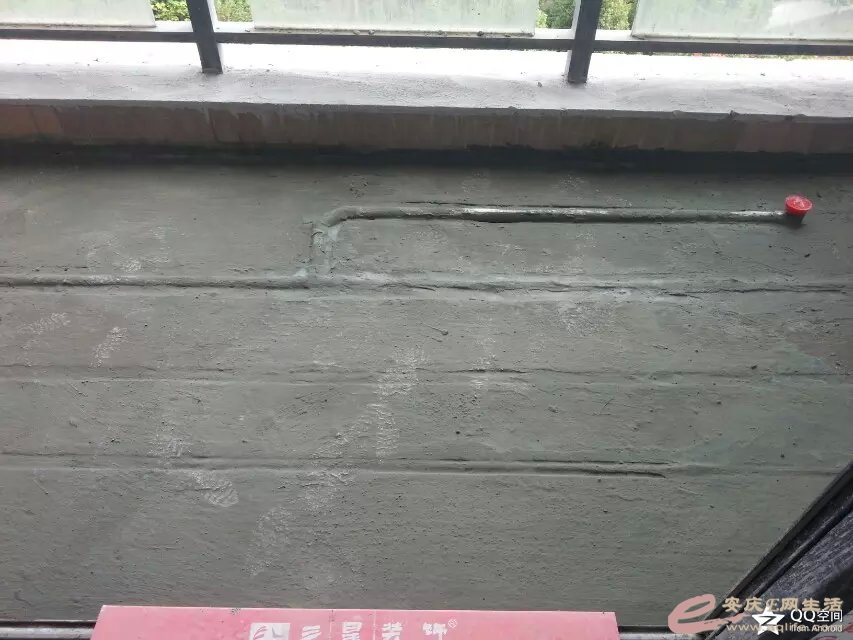 ̨.jpg