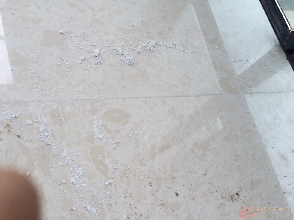 1007_13.jpg