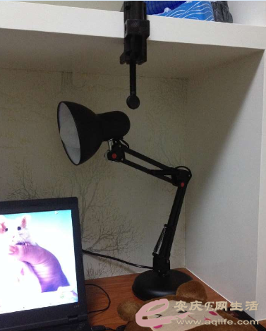 QQͼƬ20151117172636.png