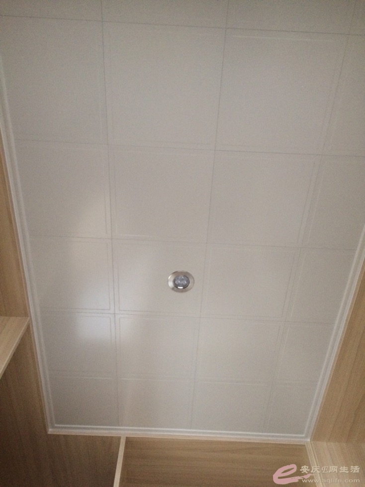 1125_11.jpg