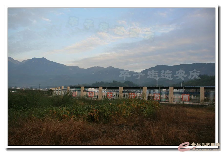 psb1-1.jpg