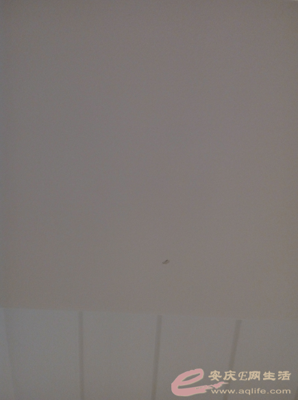 QQͼƬ20151211100016.png