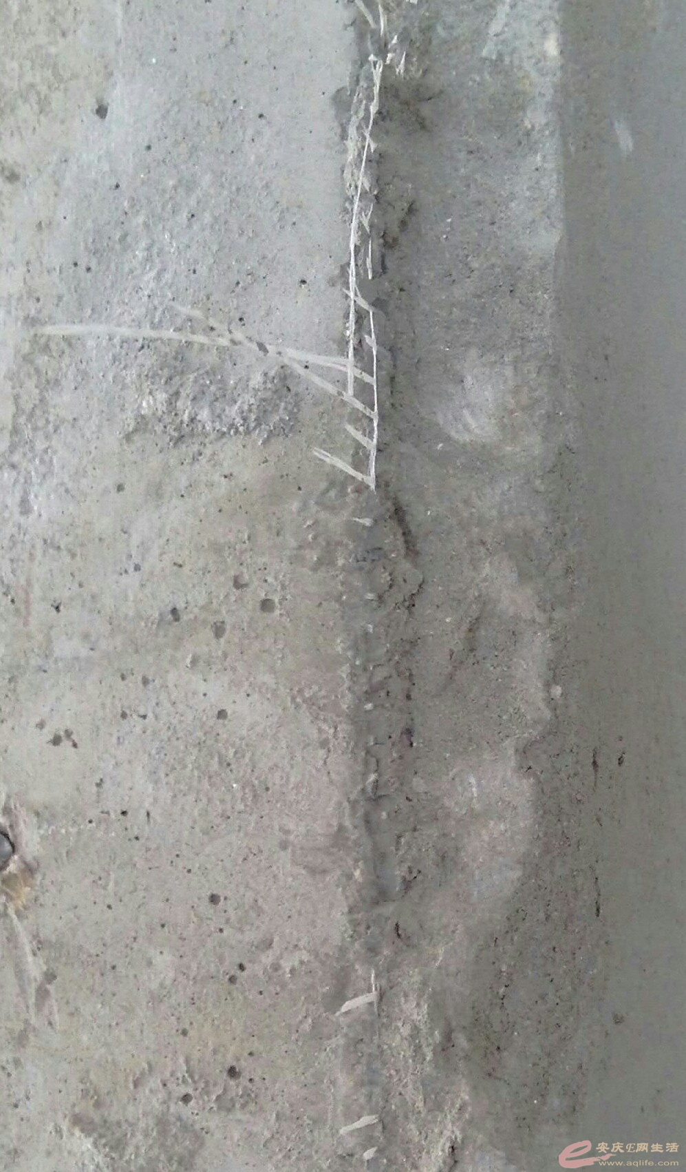 YP20160108103436894-1-1.jpg
