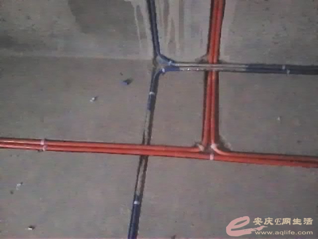 YP20160120154716775.jpeg