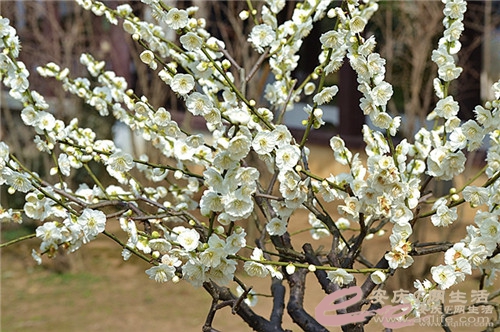 刚享受完年后的第一个周末,今天安庆的上班族