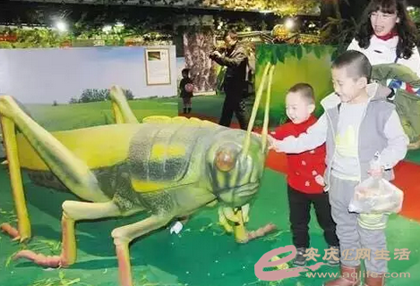 ţ콫Ҫ£кӵļҳҪעˣ