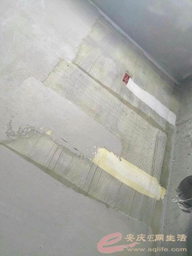 .jpg