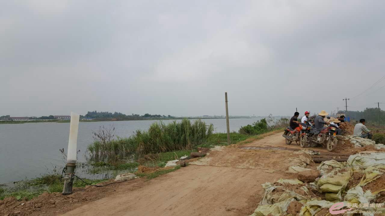 mmexport1471361367856.jpg