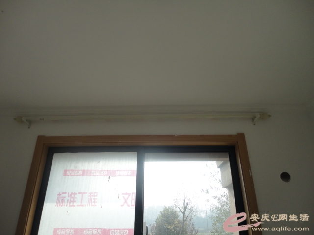 DSC04954.JPG