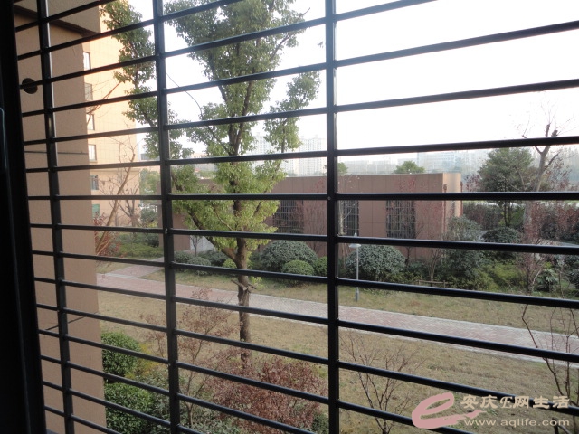 Ƭ 061.jpg