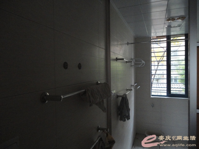 Ƭ 066.jpg