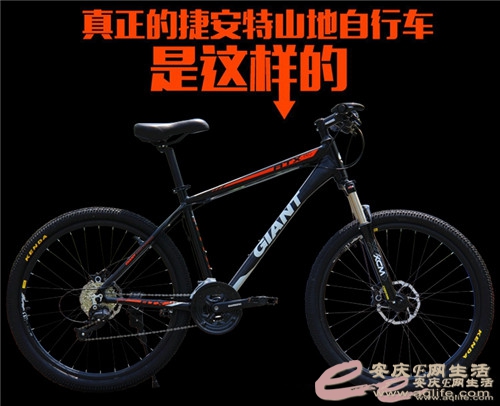 145106q5o448x80k2cooz0.jpg