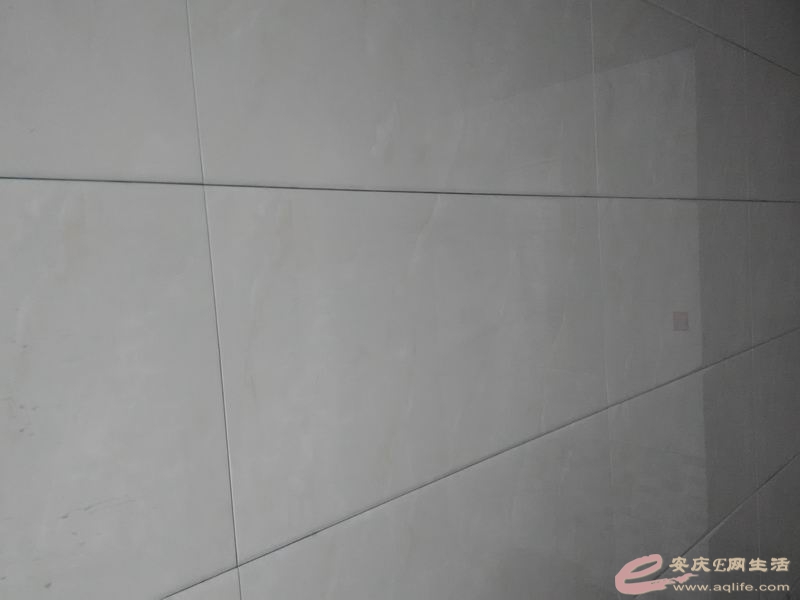 06.jpg