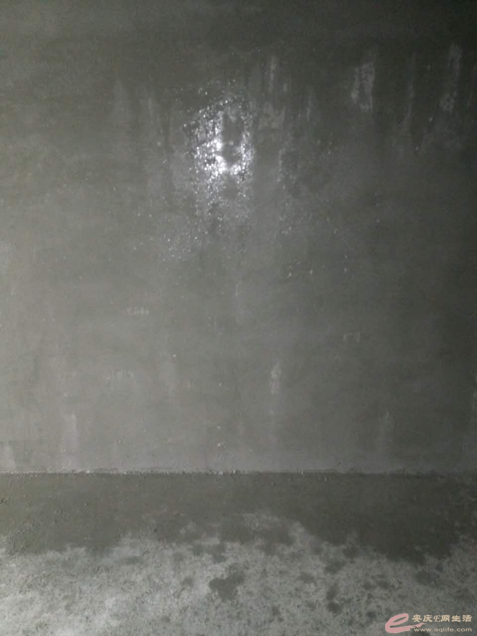 mmexport1488929658641.jpg