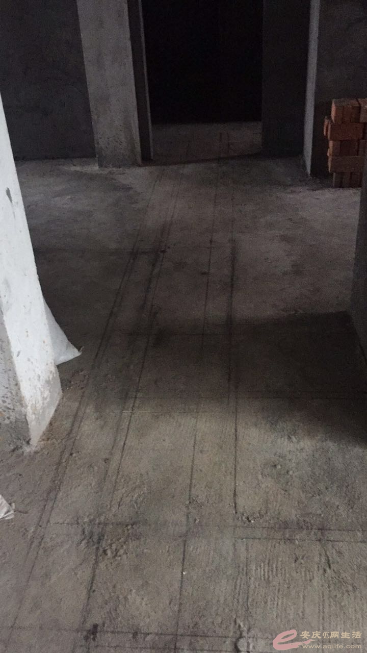 508797941497456452.jpg