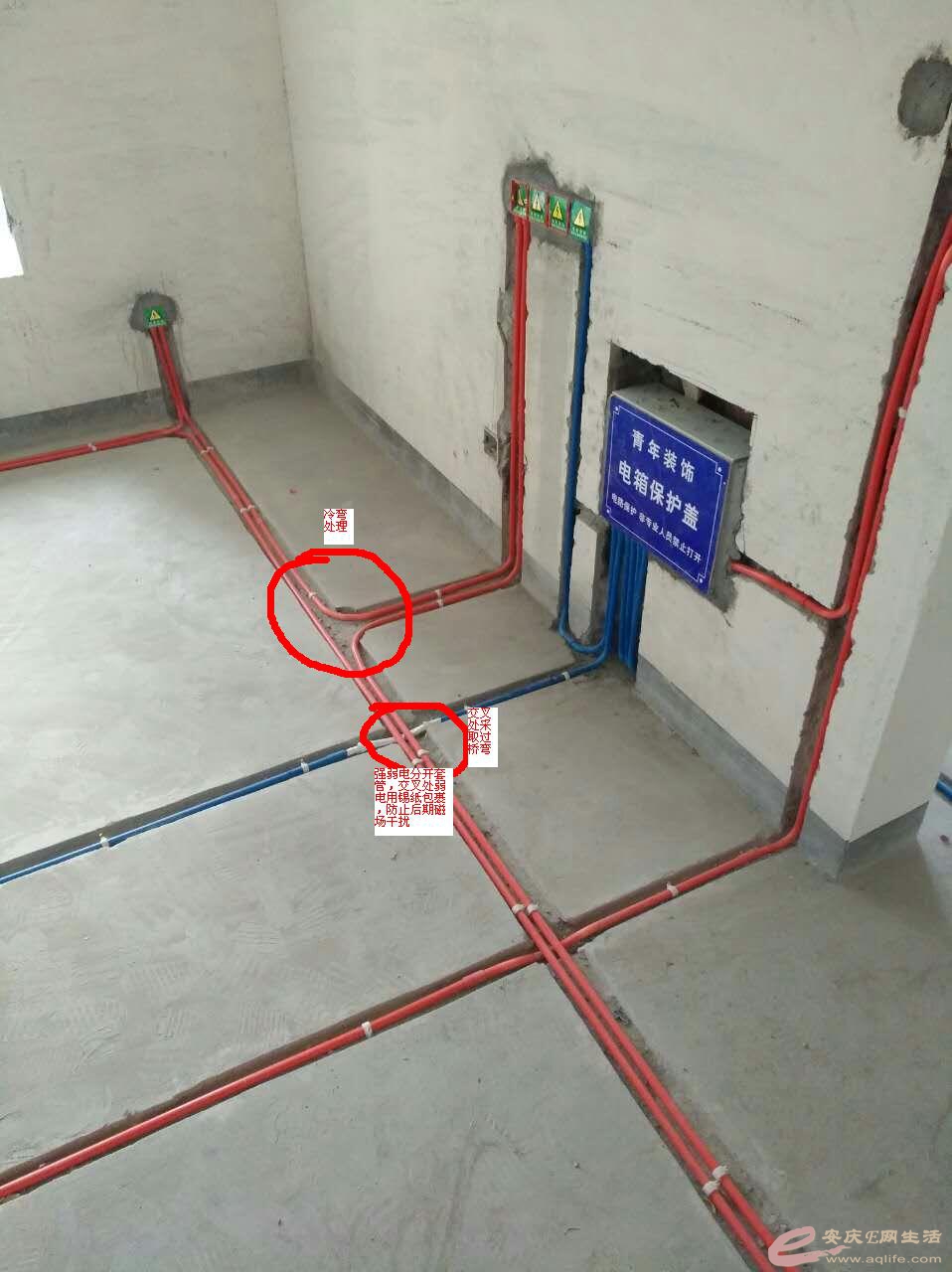 111.JPG