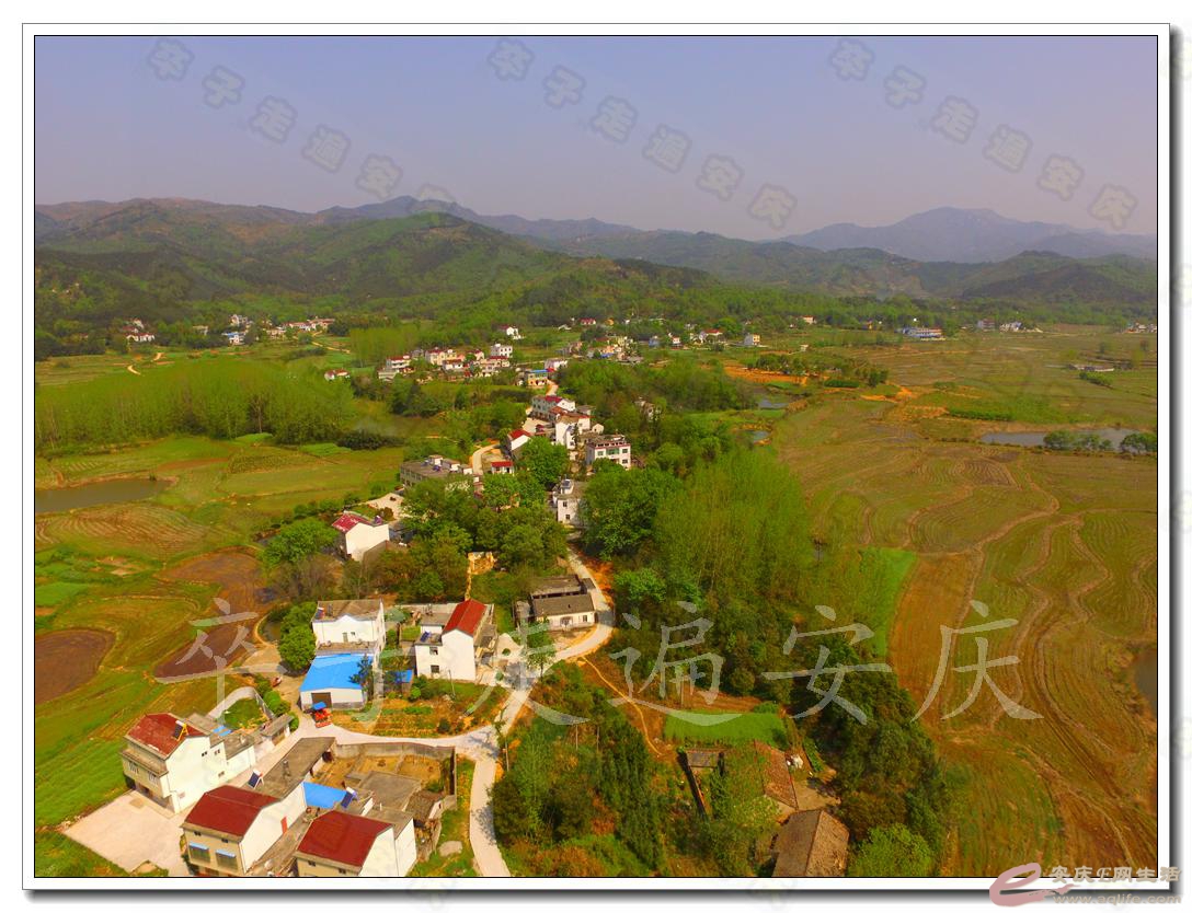 DJI_0048.jpg