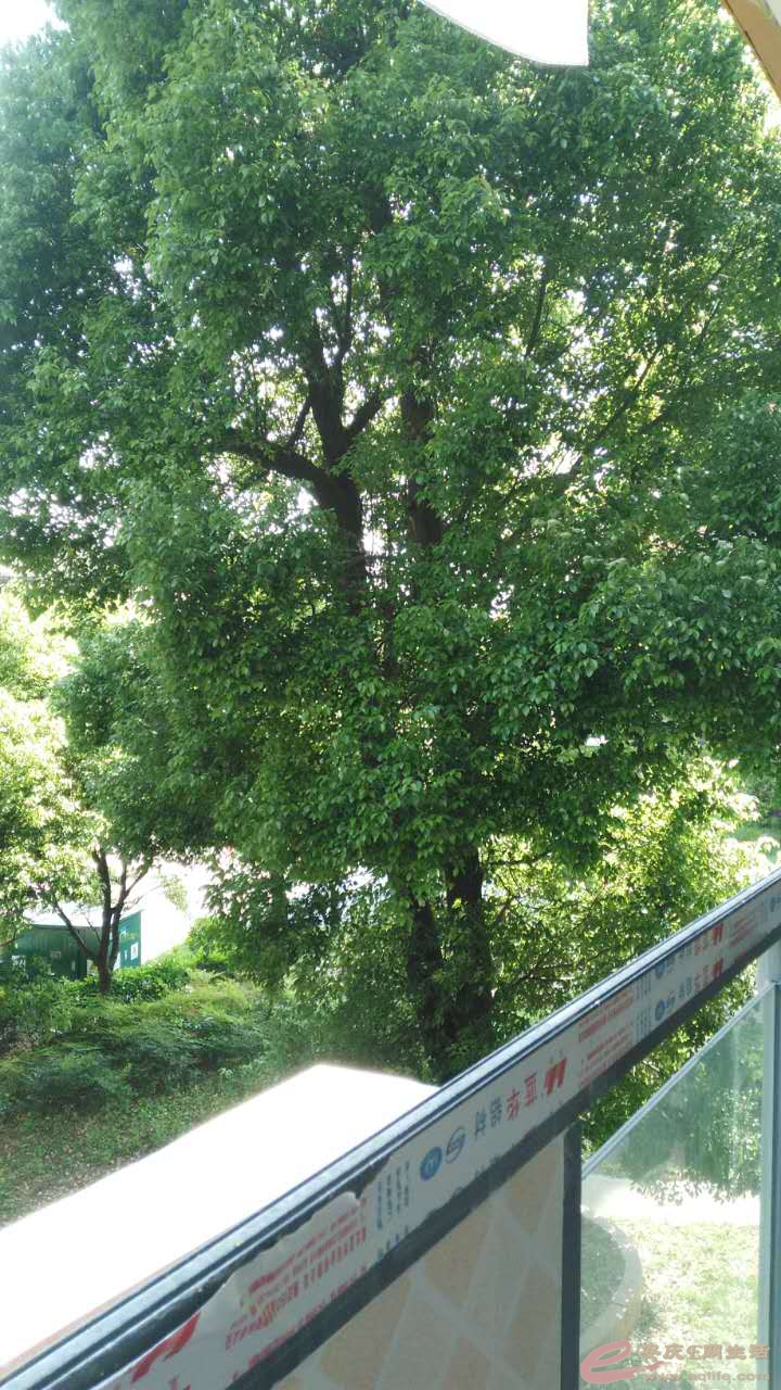΢ͼƬ_20170424084309.jpg