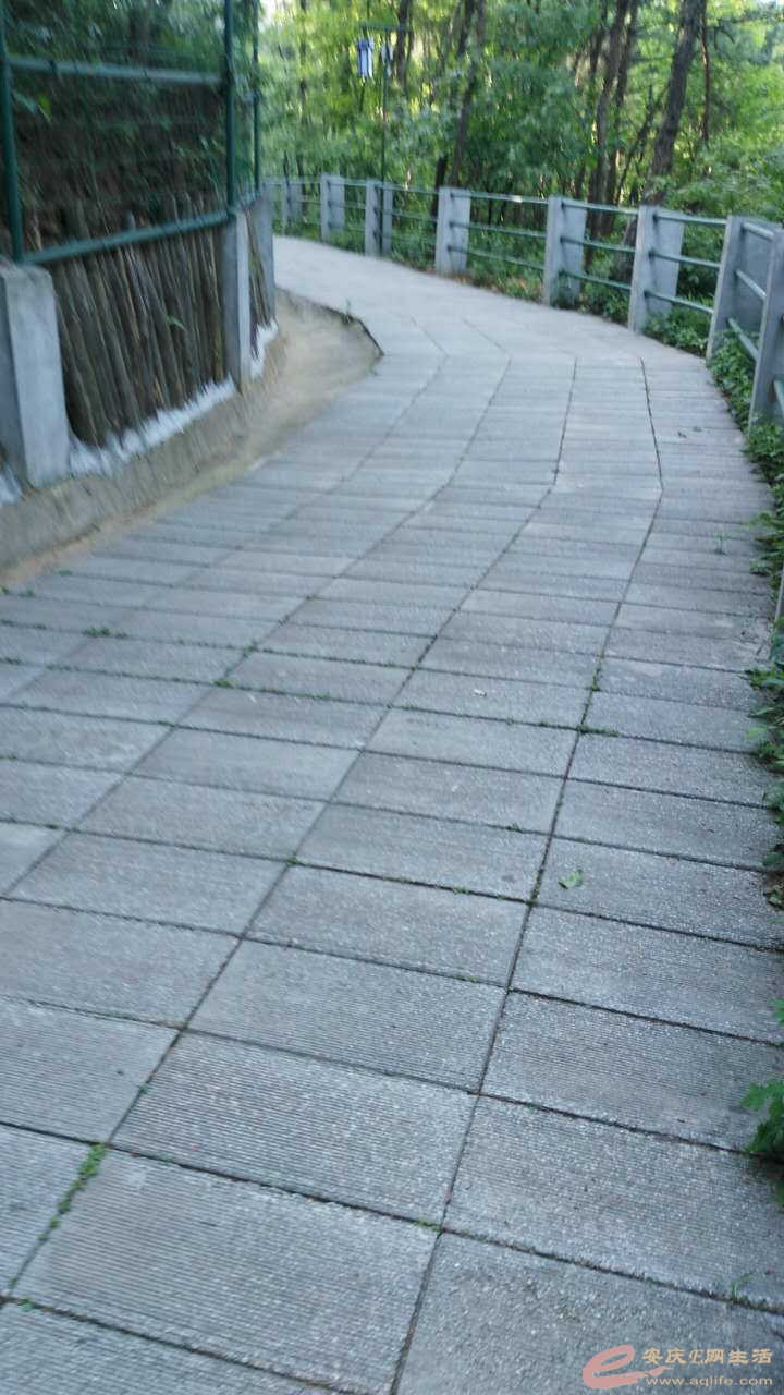 871190200763014319.jpg