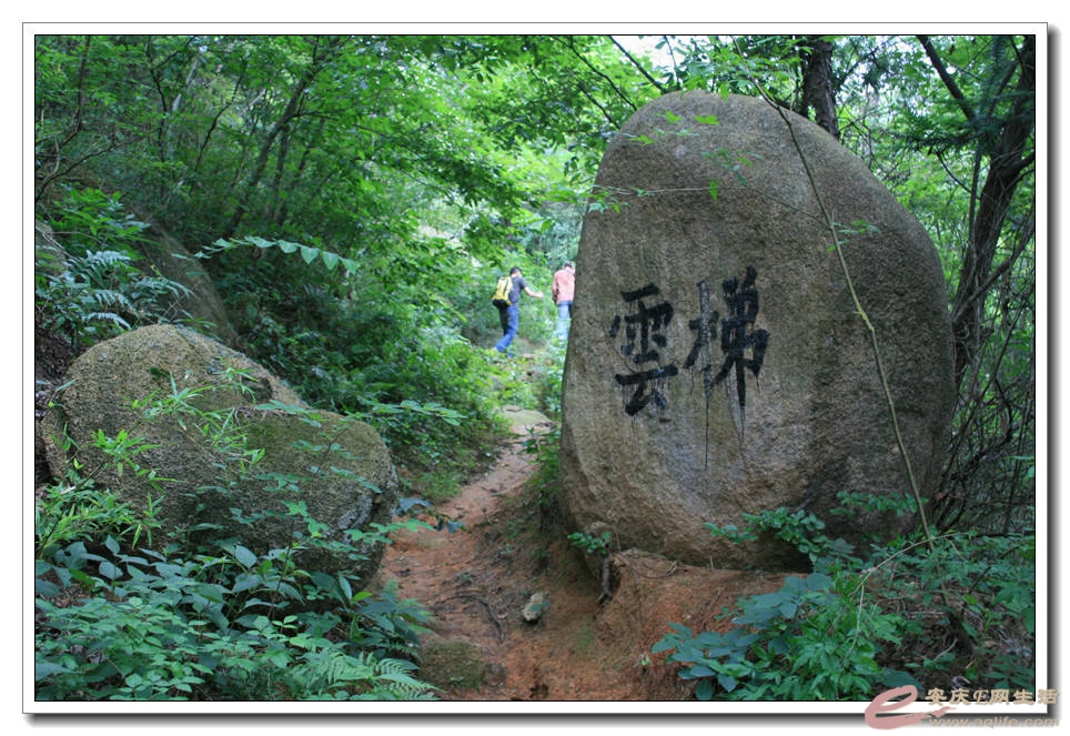 20150704 037.jpg