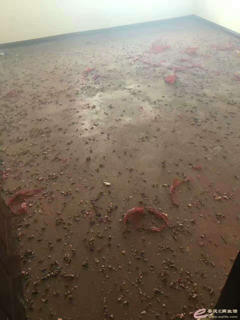 619280939851998543.jpg