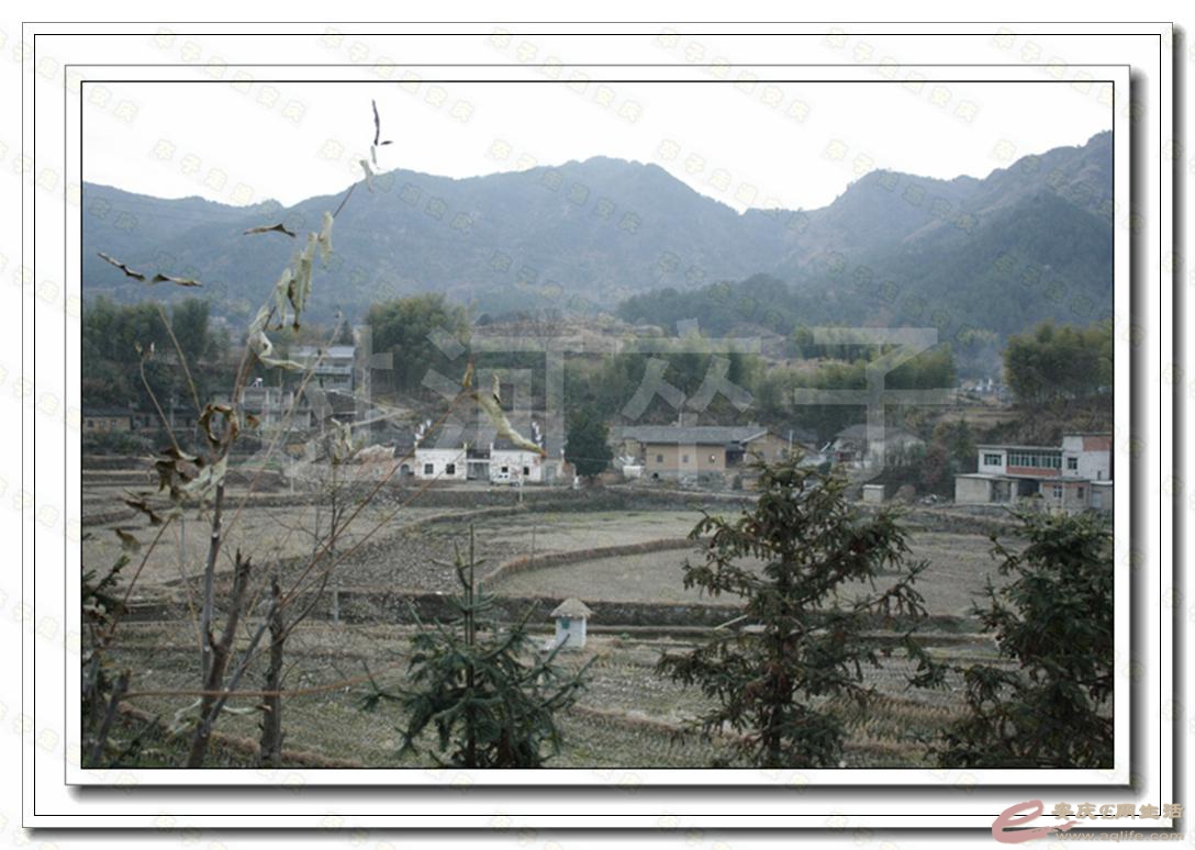 20131130 755.jpg