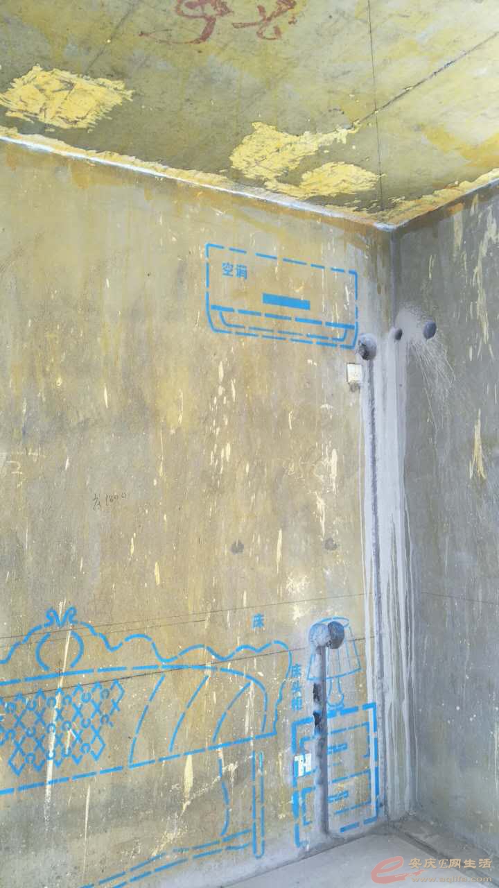 202795675162049620.jpg