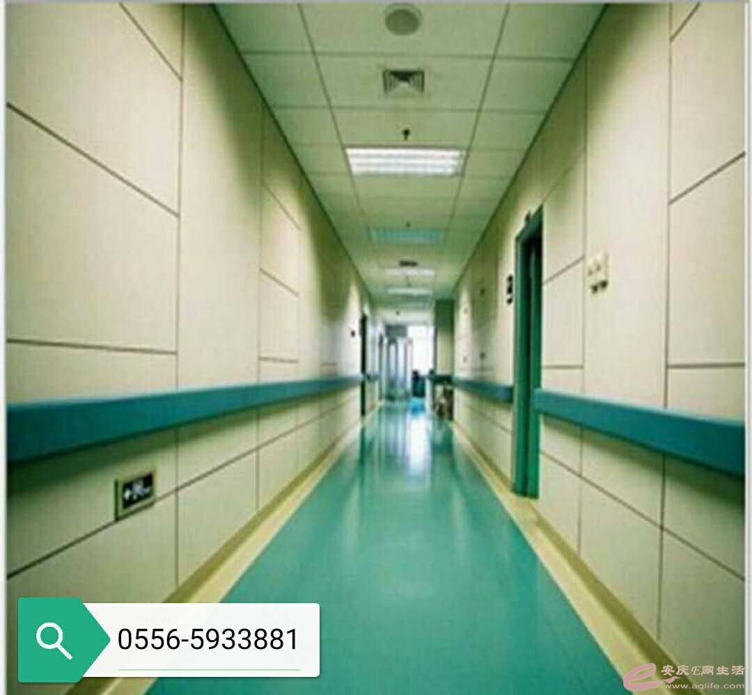 237827028035425153.jpg