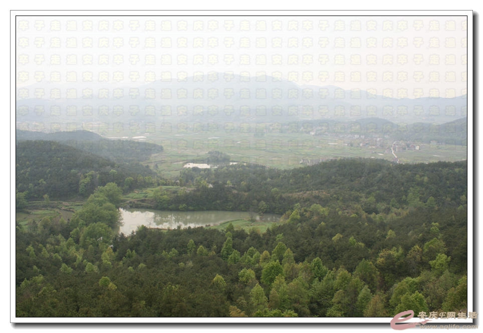 20150412 380.jpg
