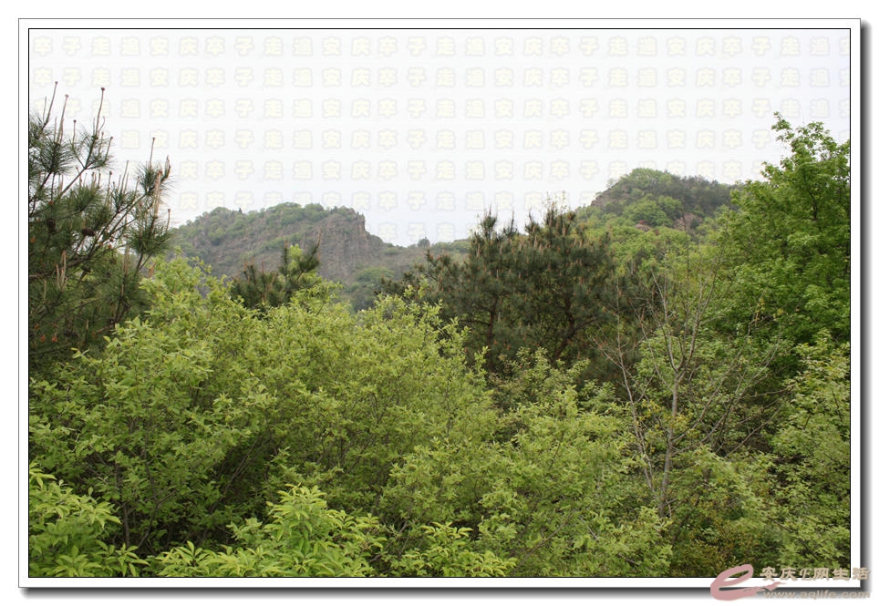 20150412 457.jpg