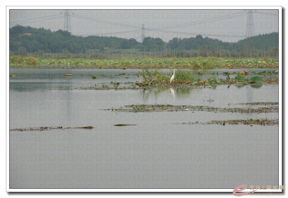 20150815 112.jpg