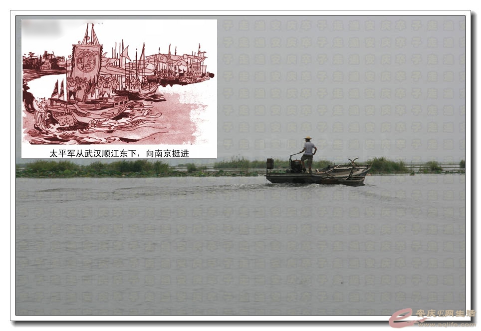 20150815 142.jpg