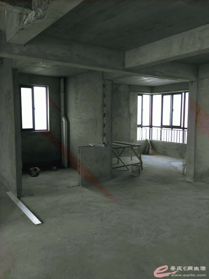 IMG_4091.gif