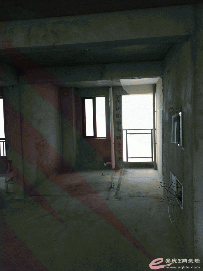 IMG_4092.gif