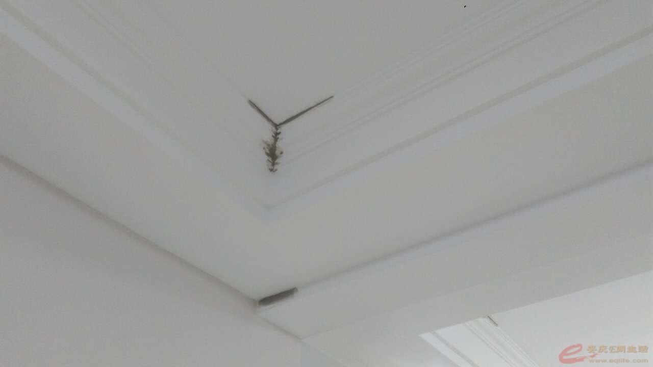 ΢ͼƬ_20171125114048.jpg