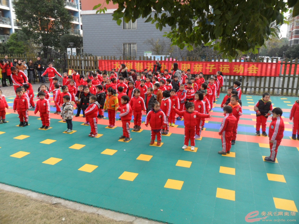 禁限烟花燃放令 ,安庆E网