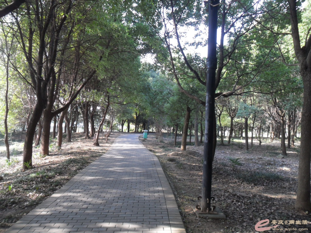 禁限烟花燃放令 ,安庆E网