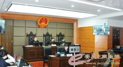 安庆首例污染环境罪附带民事公益诉讼案 一审