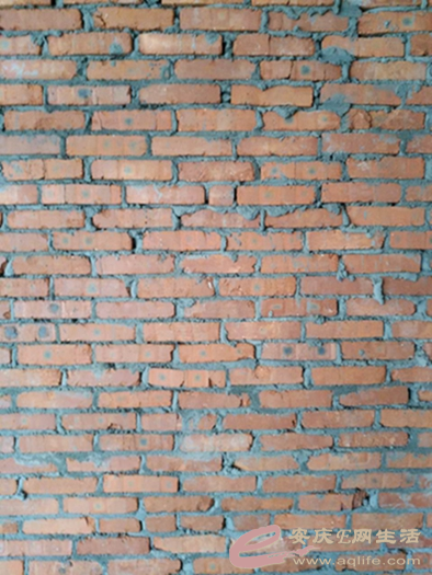 ͼƬ45.png