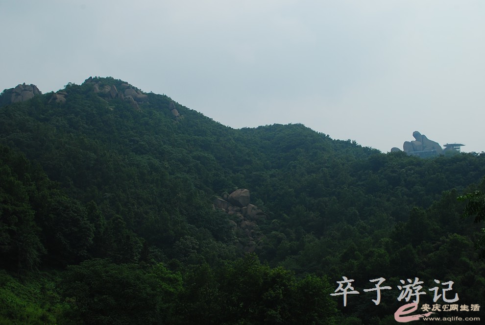 DSC_0815.jpg