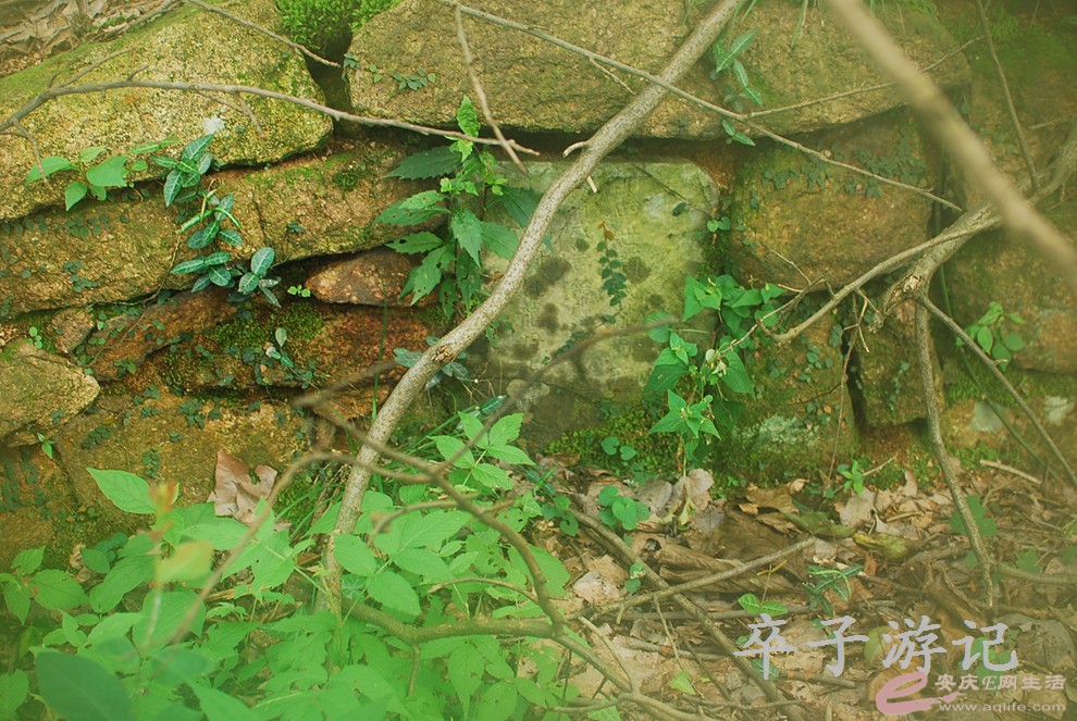 DSC_0843.jpg