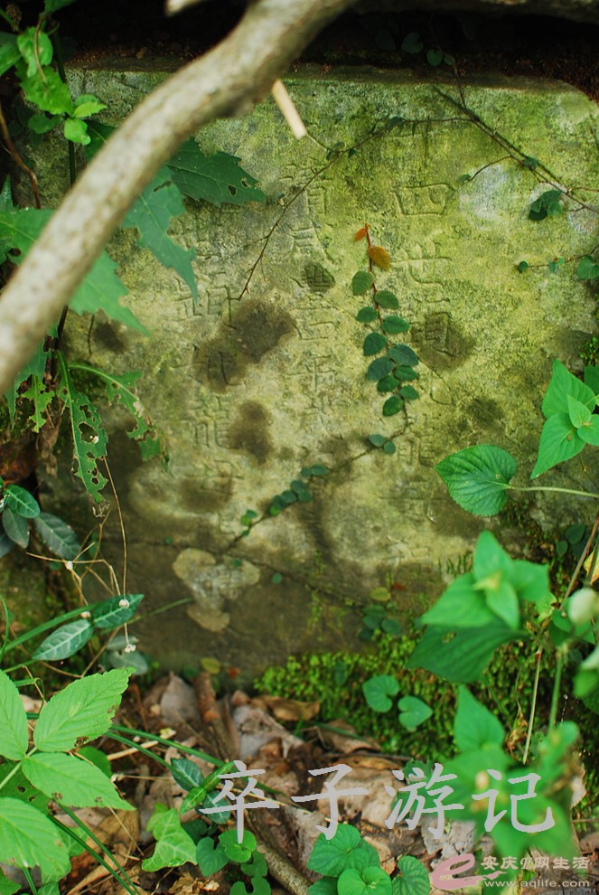 DSC_0853.jpg
