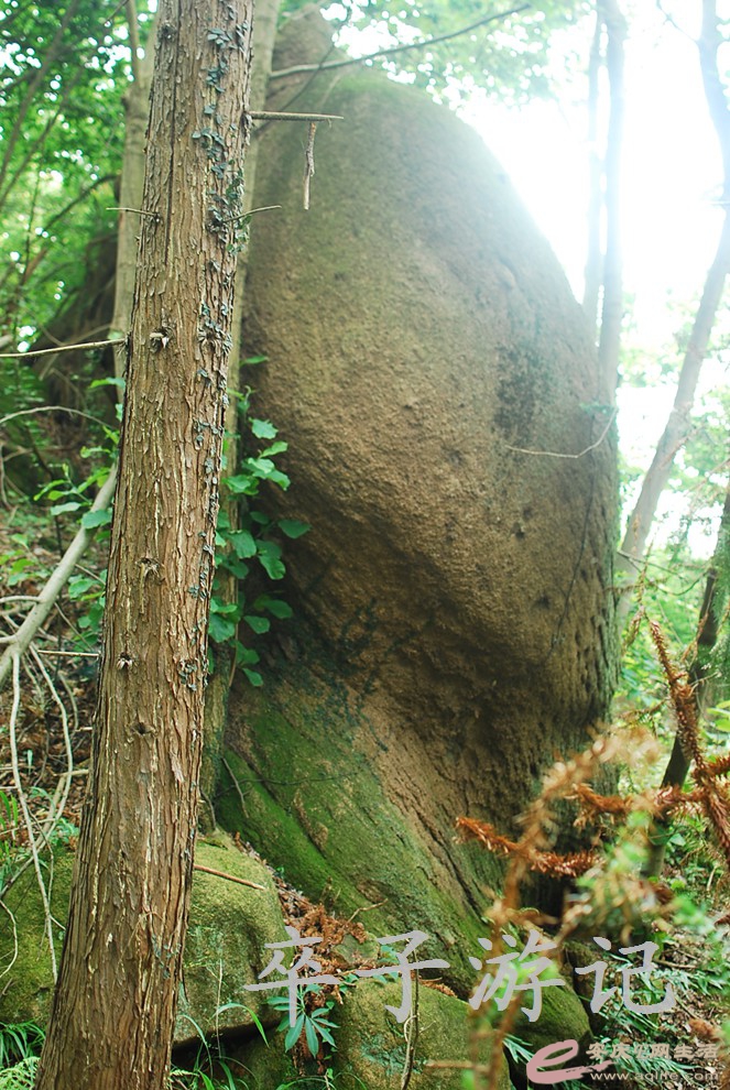 DSC_0857.jpg