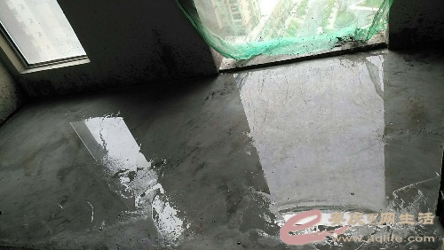 mmexport1537167479071.jpg