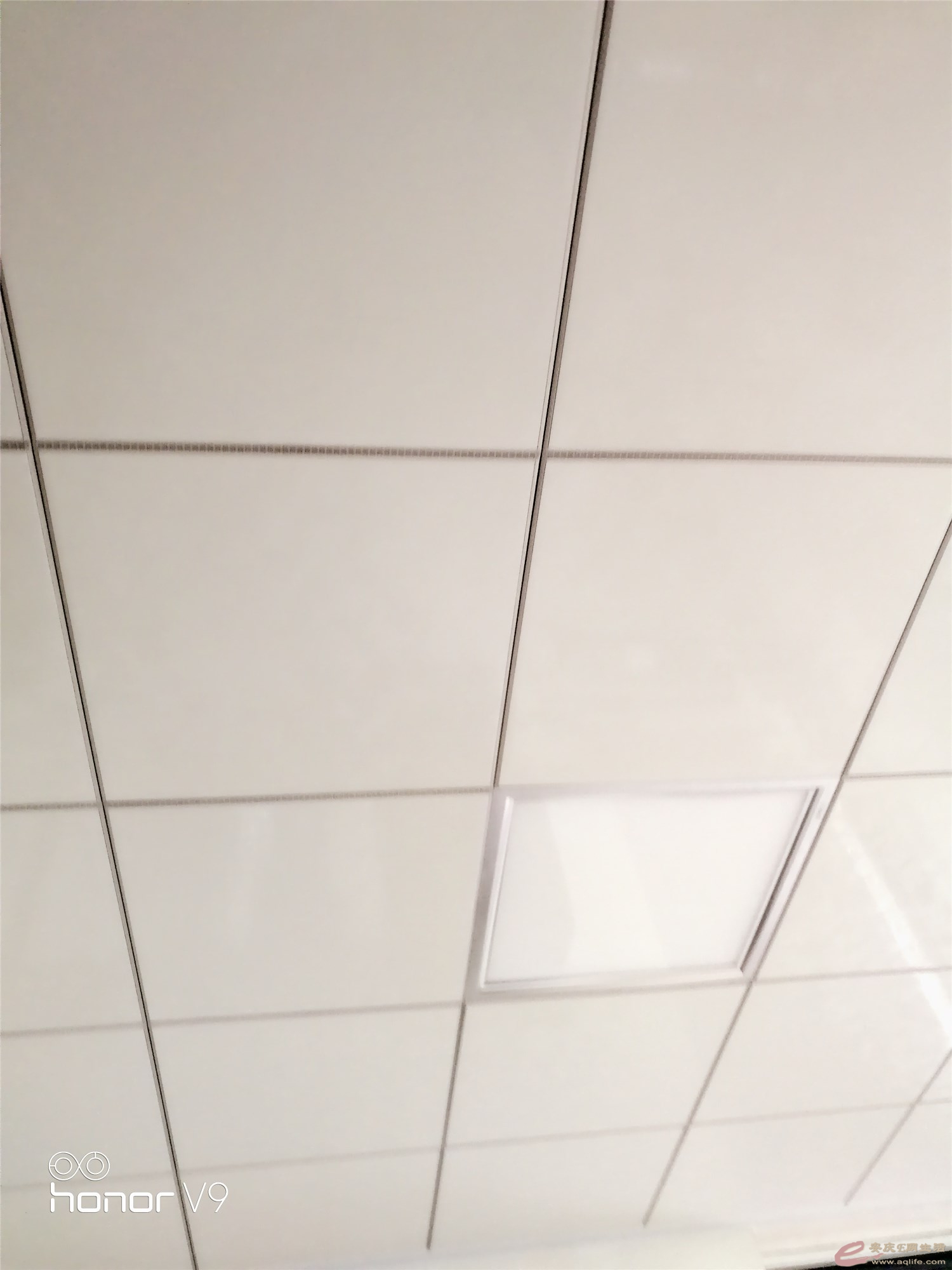 IMG_20180916_134544_.jpg