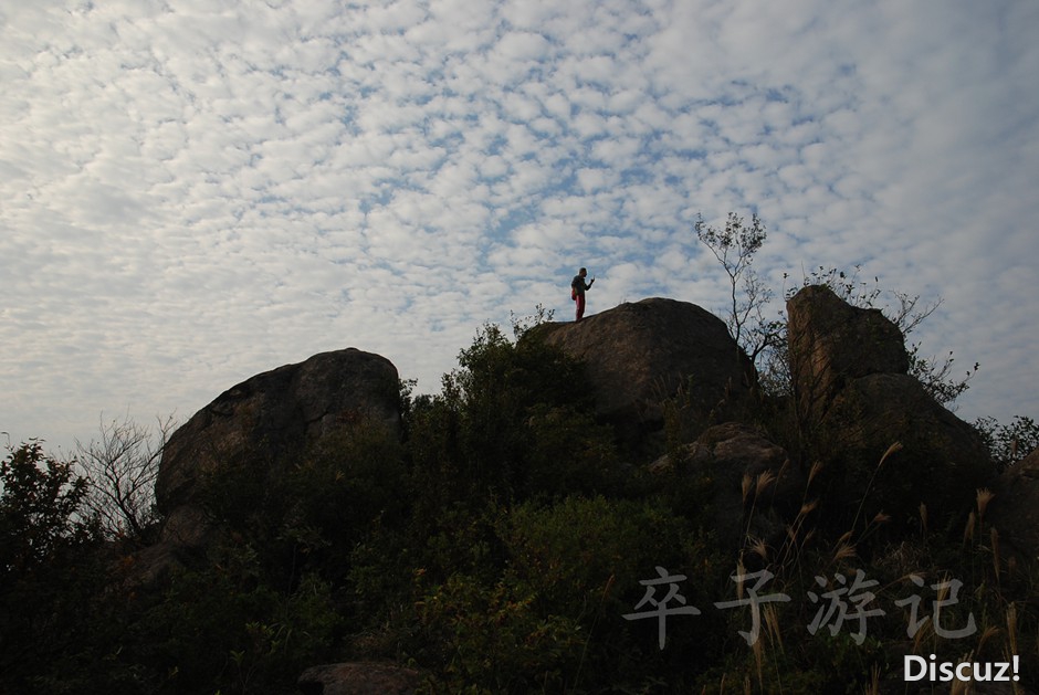DSC_5954.jpg