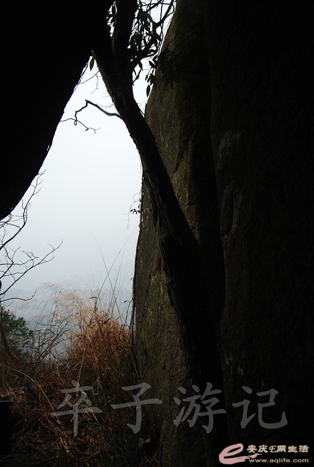 DSC_1869.jpg