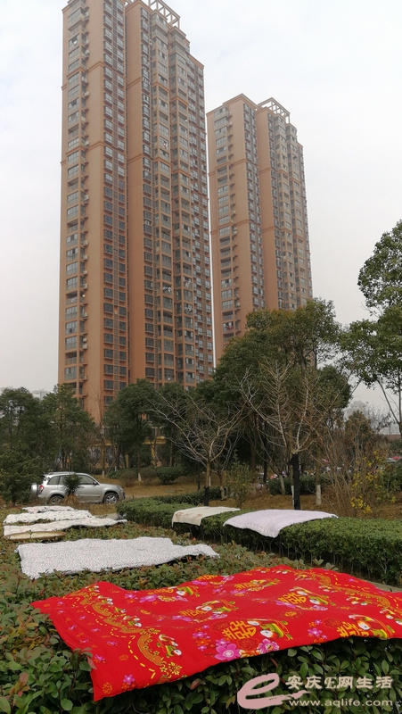 新小区弄成这样,好意思吗