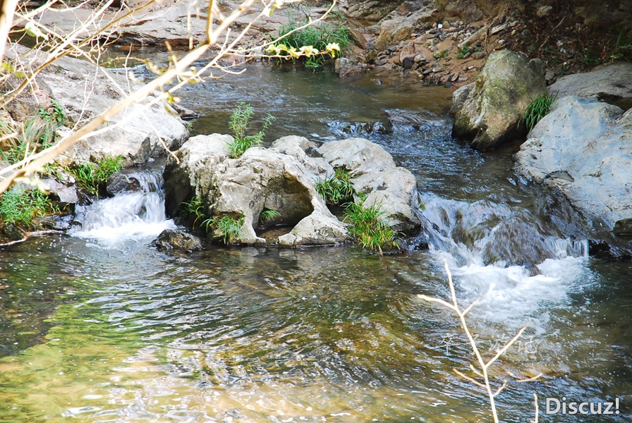 166.jpg